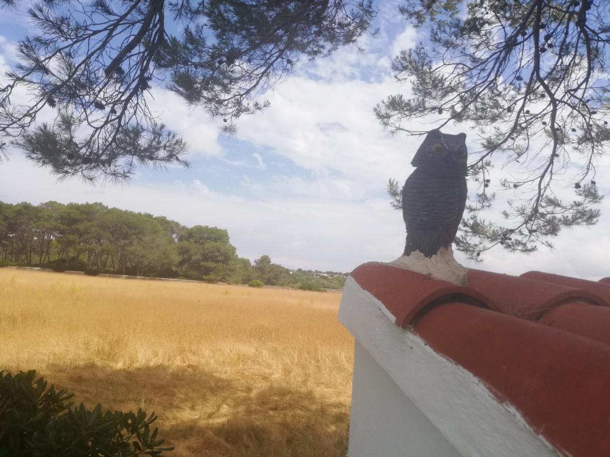 Es Pins Διαμέρισμα Κάλα Μπλάνκα Εξωτερικό φωτογραφία